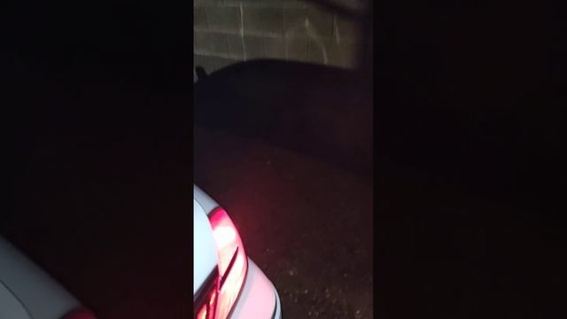 crown Vic At car wash #grandmarquis смотреть онлайн