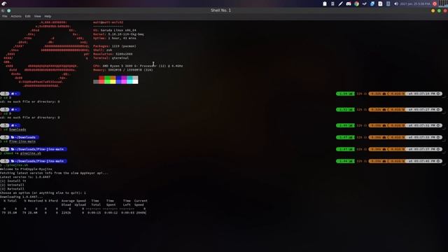 Ryujinx Linux install script called Pine-jinx смотреть онлайн