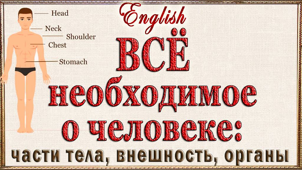 ВСЁ необходимое о человеке на английском: части тела, описание внешности, важные органы. смотреть онлайн