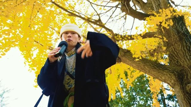 SHOW-GO - Unforgettable (Beatbox) смотреть онлайн