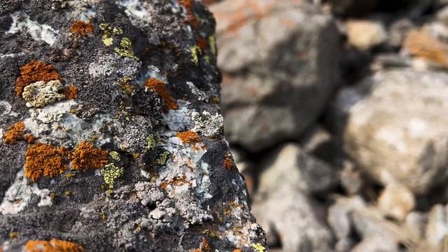 IPhone 14 | Cinematic Short Travel Video | 4K | Kyrgyzstan Ala Archa National Park смотреть онлайн