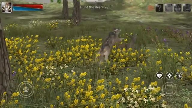 Life of Wolf Reboot By 1Games - Android / iOS - Gameplay смотреть онлайн