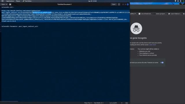 Open Redirection Vulnerability into Bentley Systems смотреть онлайн