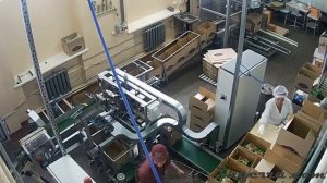 Автоматизированная система упаковки готовой продукции. Case packer. Secondary packaging line