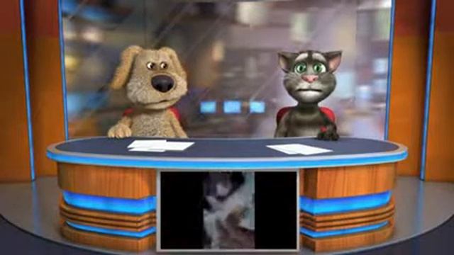 zuzu pets no Talking News смотреть онлайн