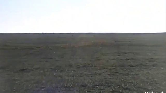 campeonato de galgos de Lincoln 2022 смотреть онлайн