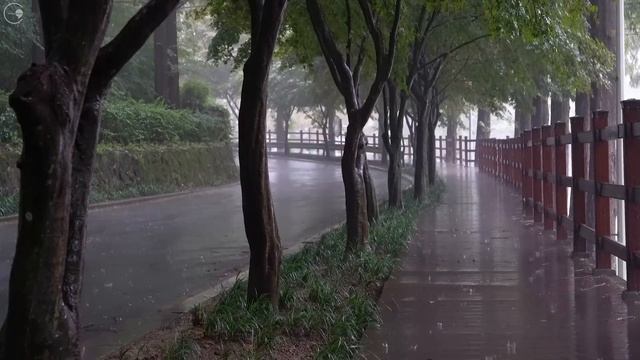 Дорожка в дождливый день. Лучший звук сильного дождя для сна ASMR звук дождя белый шум смотреть онлайн