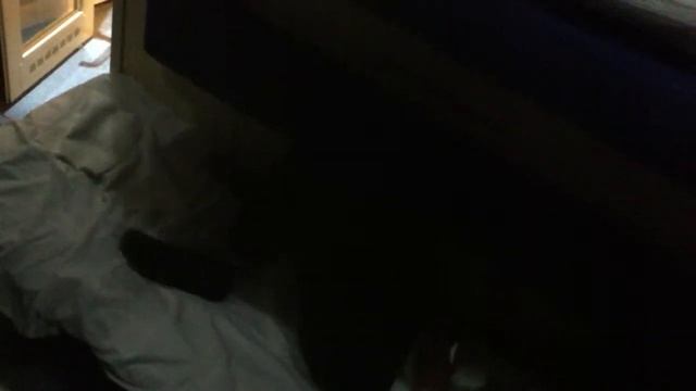 поезд в смоленск ч2