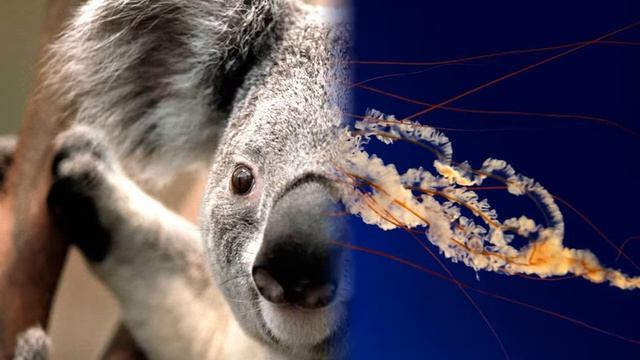 Windows 7 photo gallery photos смотреть онлайн