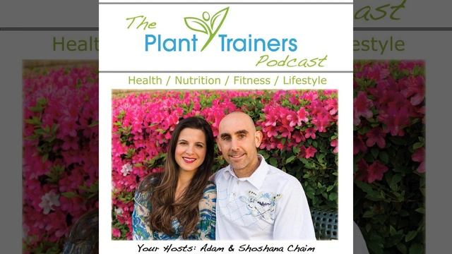 7 Core Principles For Healing with Sachin Patel - PTP398 смотреть онлайн
