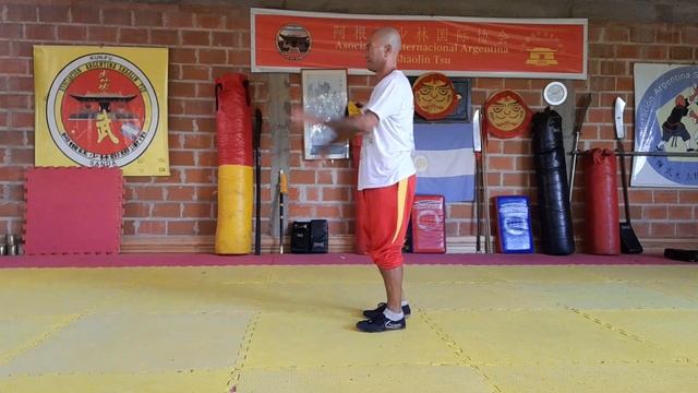 Patadas Basicas Shaolin Tsu смотреть онлайн
