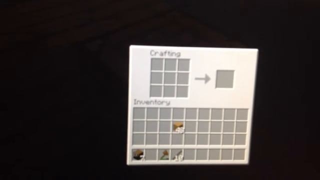 Minecraft iOS Mac,Survival