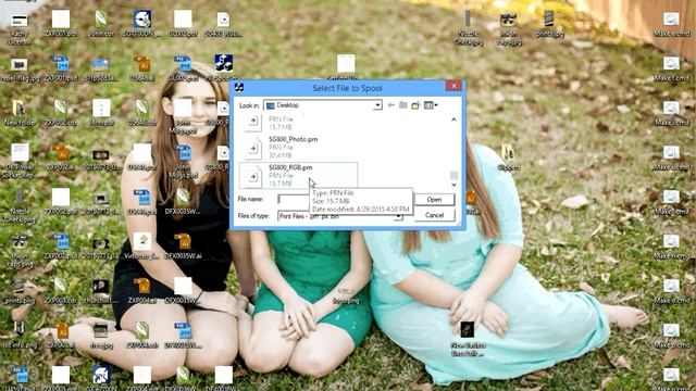 Windows PC - Printing a PRN Test Print - SG800 Sublimation Printer смотреть онлайн