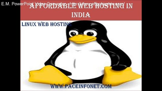 Affordable Web Hosting In India - Paceinfonet India смотреть онлайн