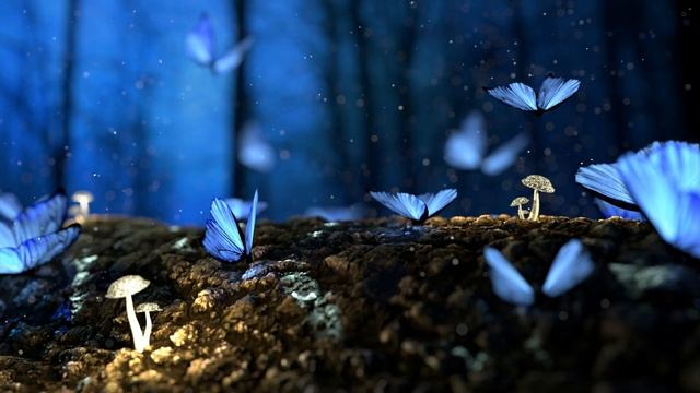 TOP 15 , 8K wallpapers for desktop! смотреть онлайн