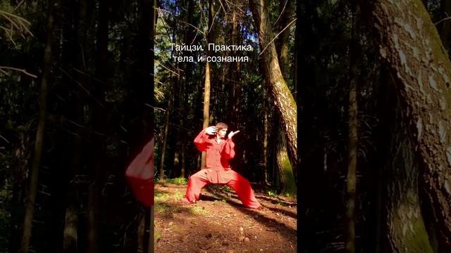 Тайцзи - практика тела и сознания смотреть онлайн