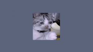 Yungatita - 7 weeks & 3 days (sped up)