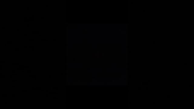 VID_20241021_132912.mp4