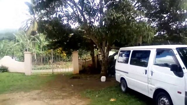 how to roast breadfruit the old fashion way смотреть онлайн