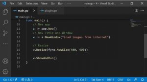 Network Internet Images- Fyne GUI Golang tutorial 26