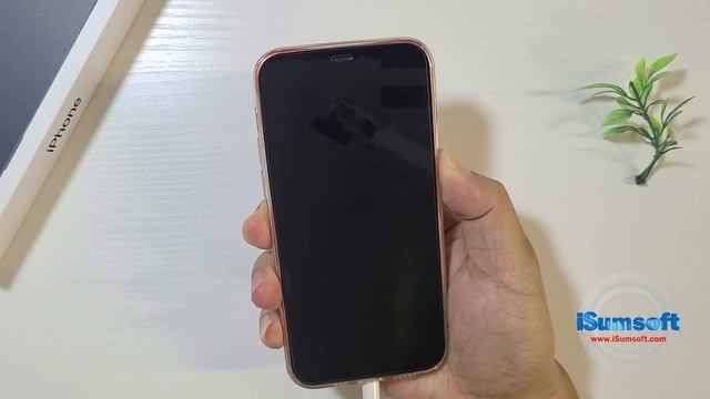 How to Factory Reset iPhone 14 without Password смотреть онлайн