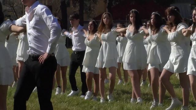 Liceo Classico "A. Pansini" - Napoli - Notte Nazionale Liceo Classico 2023 Sirtaki смотреть онлайн