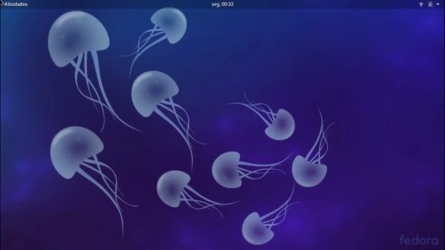 Fedora e Red Hat - Entenda a influência da empresa sobre o Projeto #Fedora #RedHat смотреть онлайн