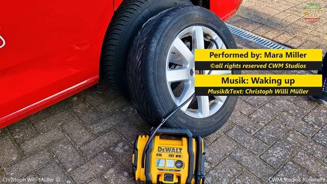 DeWALT Akku-Kompakt-Kompressor TEST Tutorial 18V DCC018N-XJ WD-40 Tipps Lifehack Autoreifen Platt