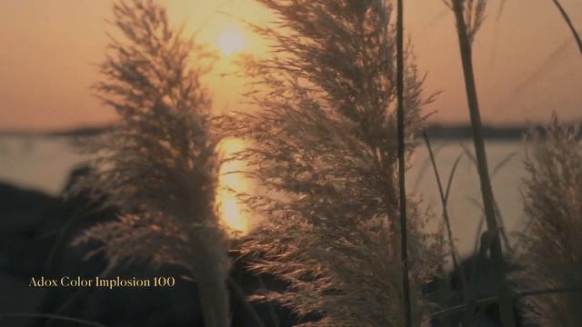 Dehancer Pro | Get The Film Look in Davinci Resolve смотреть онлайн