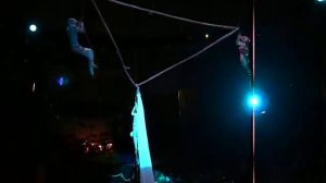 Гимнастки на полотнах. Южноуральск