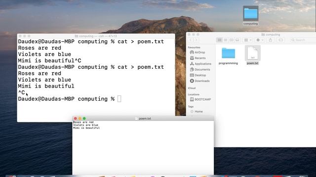Stream a file cat command смотреть онлайн