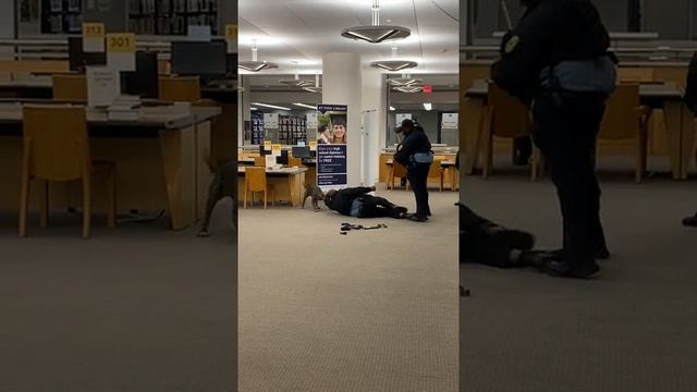 2 негра-полицейских
1 женщина-полицейский
1 собака
(В библиотеке)
Конец шутки. смотреть онлайн