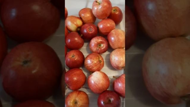 How to store new & old apples 🍎 in the fridge.. смотреть онлайн