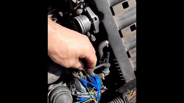 Как сделать свап m50,m52 в bmw e34 смотреть онлайн
