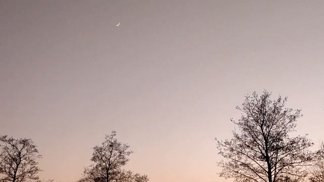 solitude in dutch смотреть онлайн