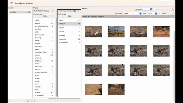 CrossPrism MacOS Photo Labeling Training #macos #app #lightroom #ai смотреть онлайн