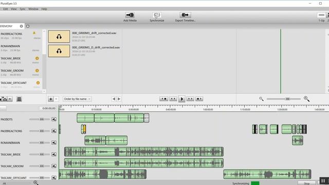 Pluraleyes Tutorial Workflow смотреть онлайн