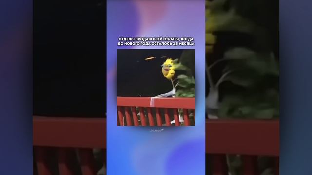 LOCARDS 🚀 смотреть онлайн