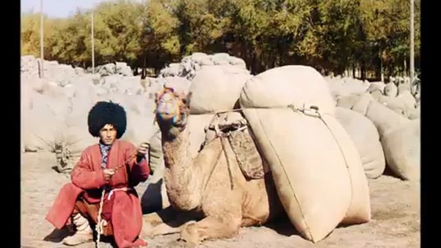 The History Of The Kayi Tribe смотреть онлайн