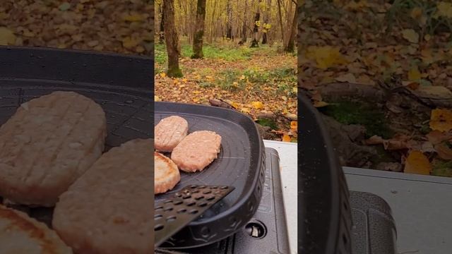 Котлеты на походном гриле. Бутовский лес. Октябрь 2024г.mp4 смотреть онлайн