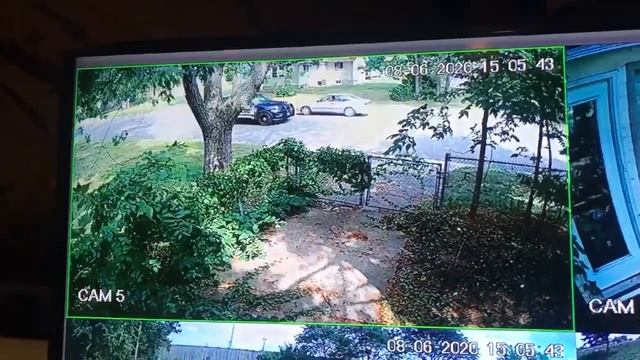 Stolen package thrown out the window and then getting chased by the police! смотреть онлайн