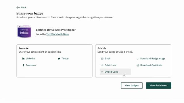 5 - Certified DevSecOps Practitioner - Applying for Digital Badge смотреть онлайн