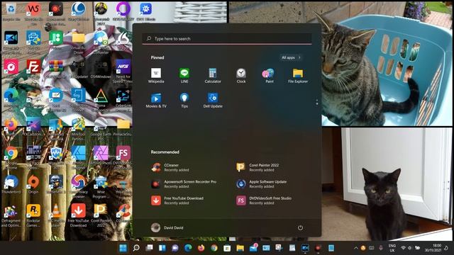 How to Find Notepad in Windows 11 смотреть онлайн