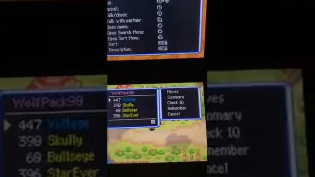 Pokémon Mystery Dungeon Explores Of Sky Walkthrough Part 14 Apple Hunt смотреть онлайн
