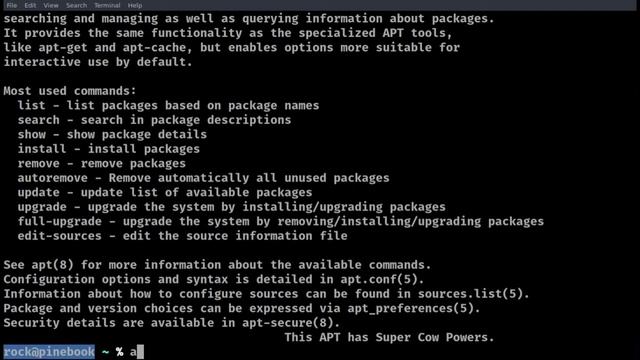 Apt Update Upgrade Autoremove -command Line