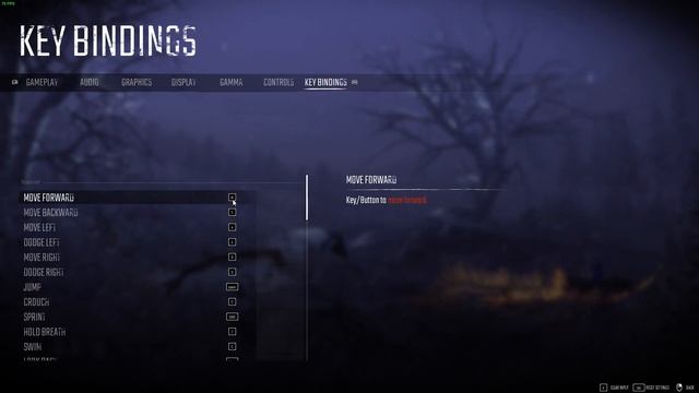 How to Find & Change Controls in Winter Survival - Adjust Key Bindings смотреть онлайн