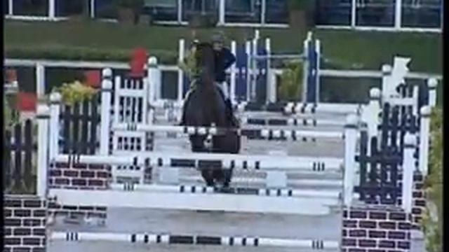 BACARDI ORANGE DE MUZE 2002 stallion -CENTO X DARCO-140 arezzo- смотреть онлайн