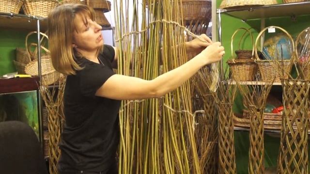 Русская ива. Видео-обзор вертикальной живой изгороди из ивы.