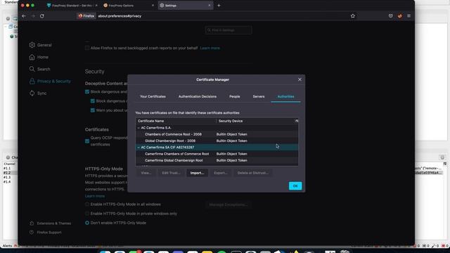 Zap Proxy Setup Demonstration смотреть онлайн