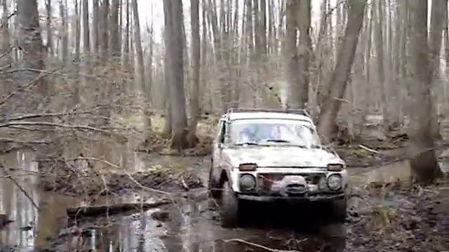 zolotoitrugolnik-250410-dog.wmv смотреть онлайн